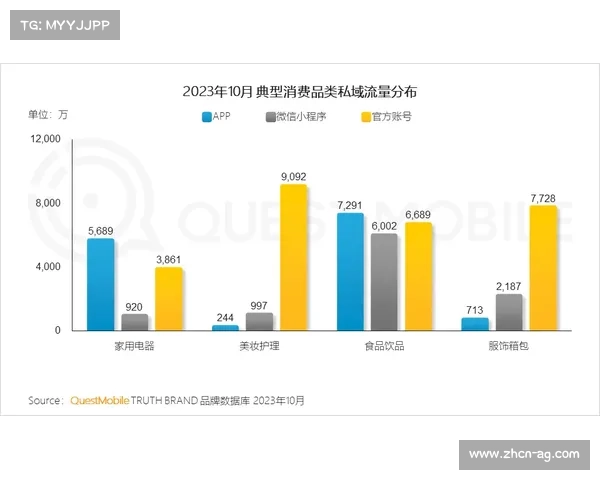 英超品牌的发展历程与当今影响力分析 英超品牌的发展历程与当今影响力分析